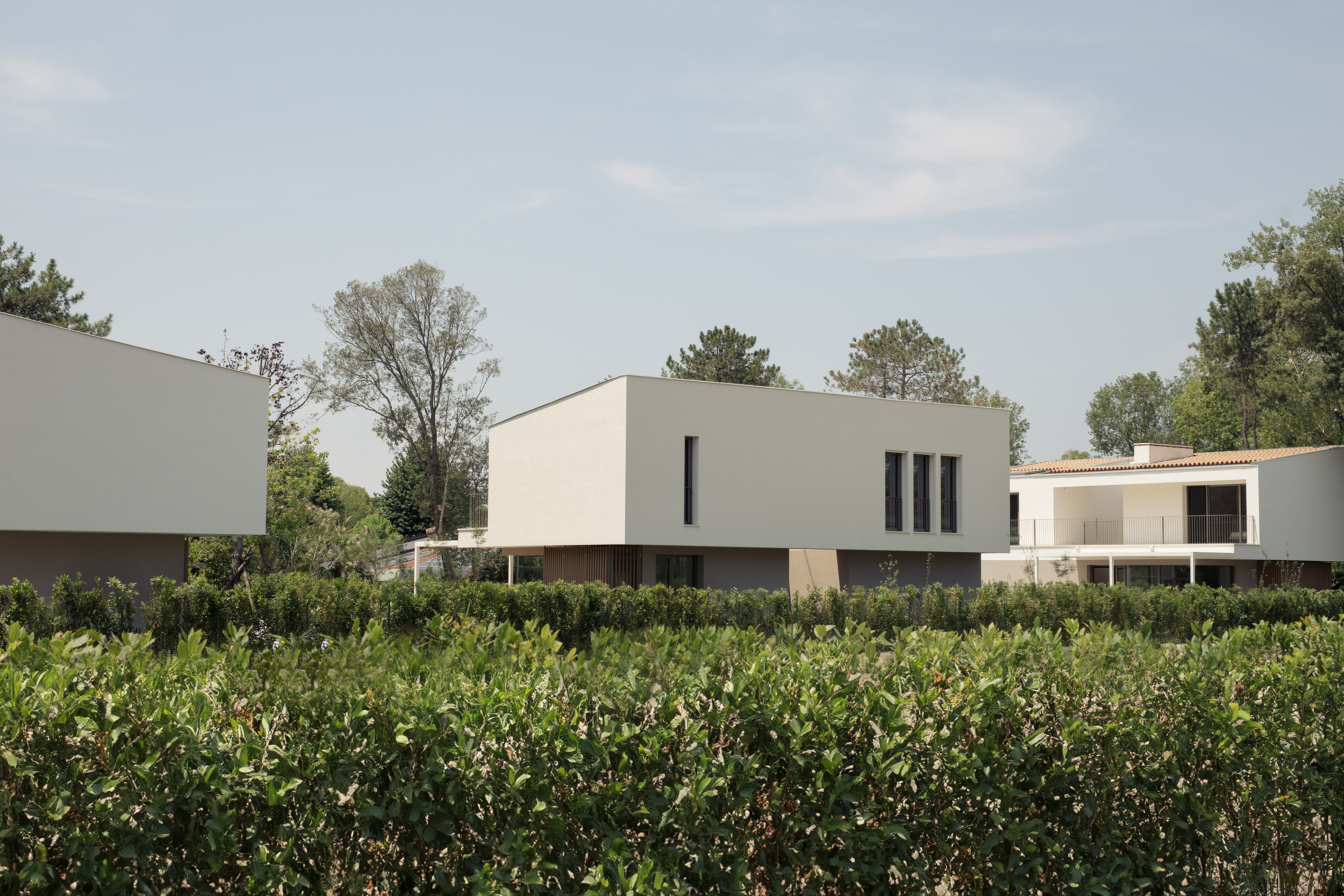 vivere nel verde - Vista principale AZArchitetti